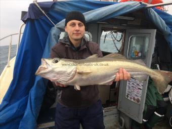 10 lb 5 oz Pollock by Unknown