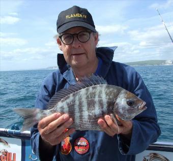 3 lb 3 oz Black Sea Bream by Dave Palmer