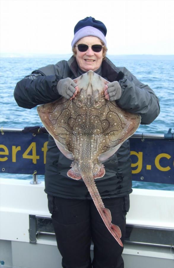 12 lb 8 oz Undulate Ray by Denise Youngs