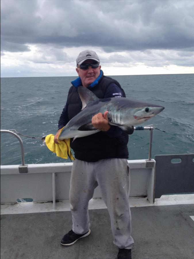 50 lb Porbeagle by Gareth