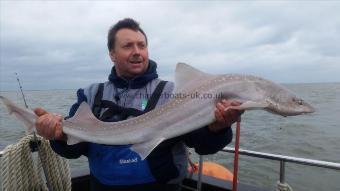 14 lb Starry Smooth-hound by Ian cozens