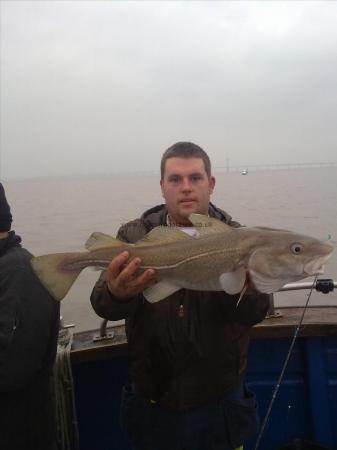 7 lb Cod by Unknown