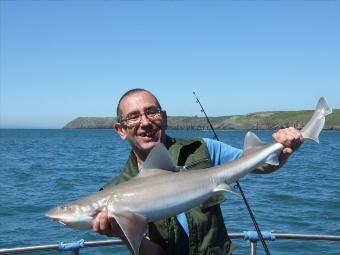 10 lb Smooth-hound (Common) by Unknown