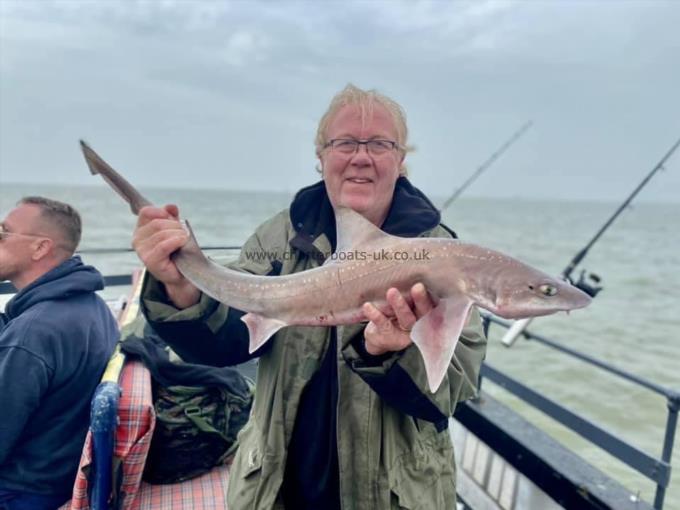 7 lb Smooth-hound (Common) by Unknown