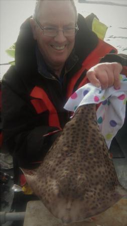 3 lb Spotted Ray by clive