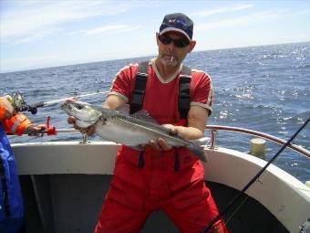 3 lb Coalfish (Coley/Saithe) by Unknown