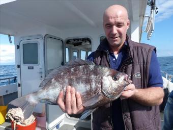 5 lb 12 oz Black Sea Bream by Mickey Claire