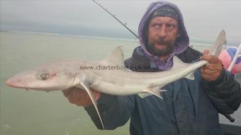 6 lb 6 oz Smooth-hound (Common) by Pete the pirate,