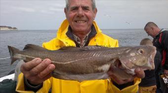 5 lb Cod by alf from spain