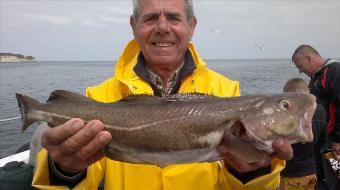 5 lb Cod by alf from spain