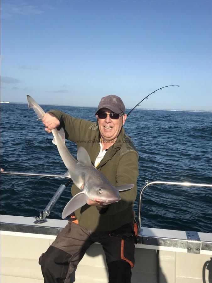 8 lb 2 oz Starry Smooth-hound by Steve