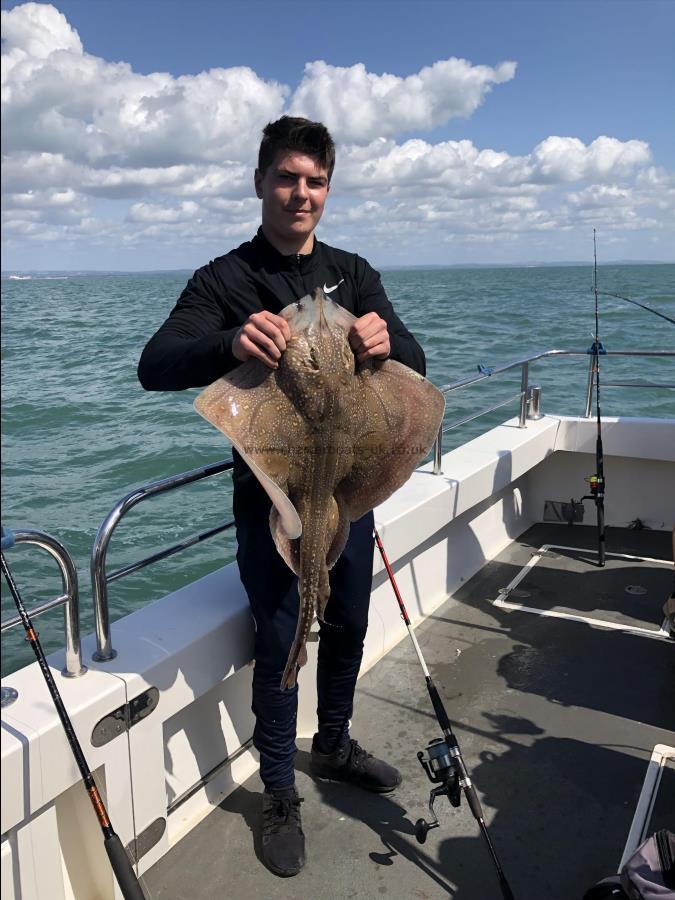 14 lb 9 oz Undulate Ray by Unknown