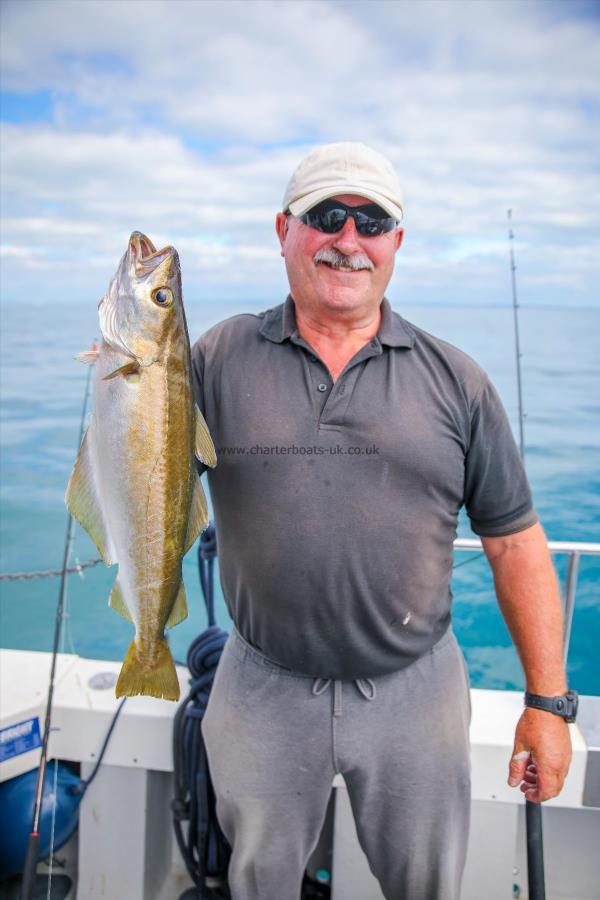 7 lb Pollock by Unknown