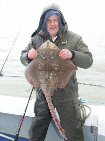 11 lb 10 oz Thornback Ray by mark