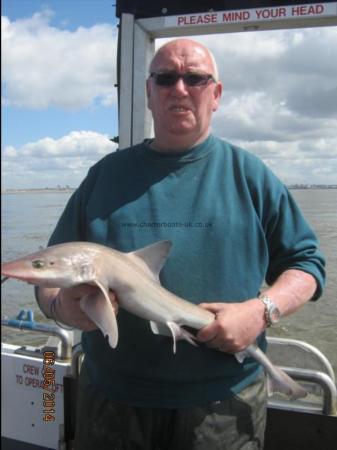 4 lb 2 oz Starry Smooth-hound by Chris