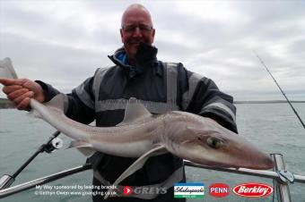 14 lb Starry Smooth-hound by Keith