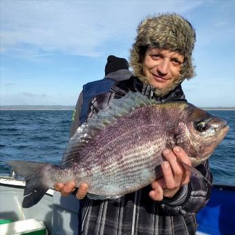 4 lb 11 oz Black Sea Bream by Marius Ciocan