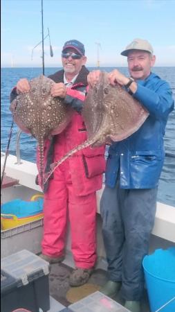 11 lb Thornback Ray by Unknown