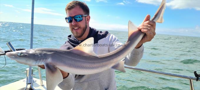 8 lb 9 oz Starry Smooth-hound by Josh