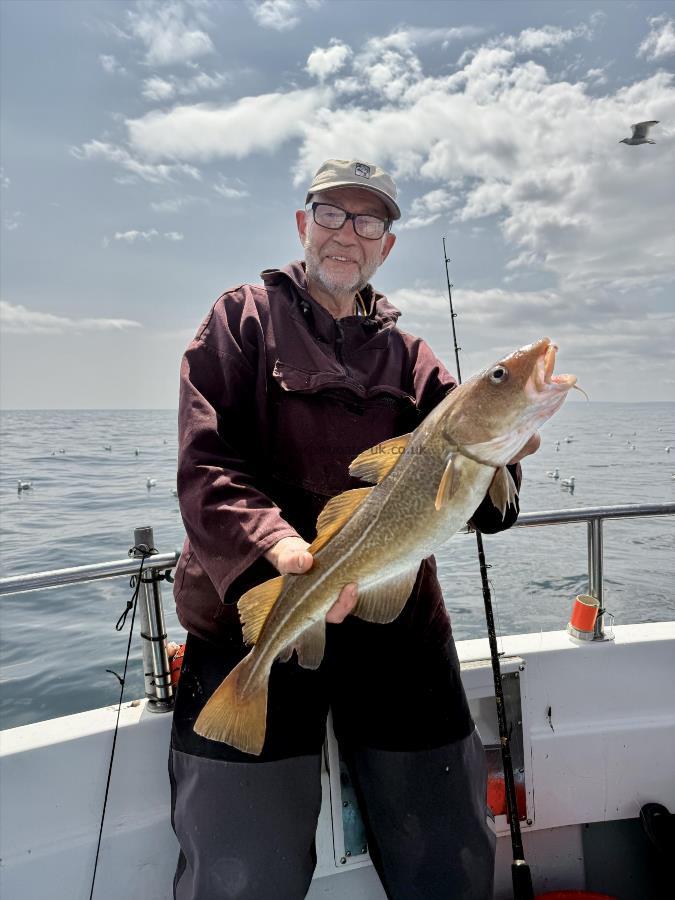 5 lb Cod by Dave Craine