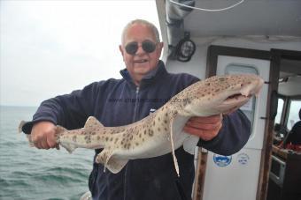 10 lb Bull Huss by Andy Truelove