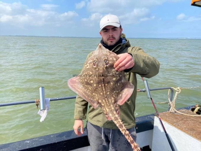 7 lb Thornback Ray by Unknown