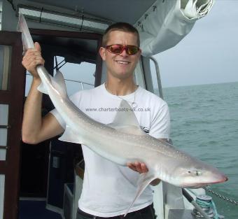 13 lb 10 oz Starry Smooth-hound by scott belbin (skipper)