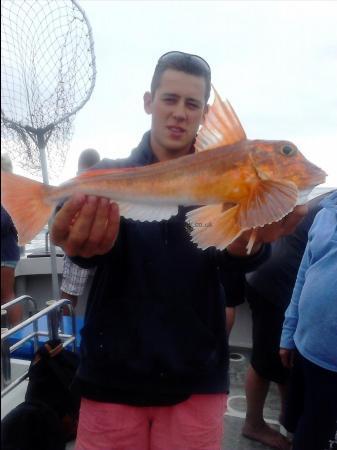 2 lb 12 oz Red Gurnard by Ethan