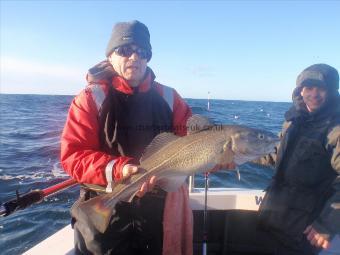 8 lb 7 oz Cod by Bob Grimmer from Grimsby.