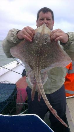 5 lb Thornback Ray by Smoggie