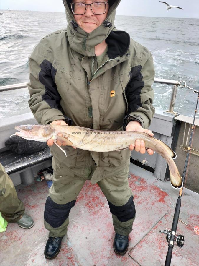 6 lb Ling by Unknown