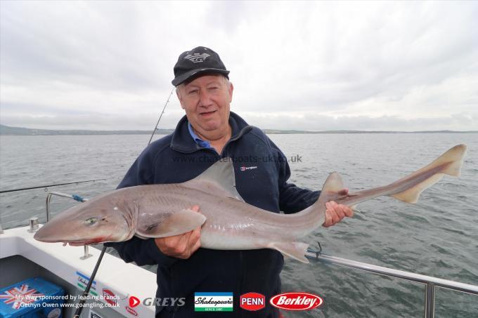 20 lb 2 oz Starry Smooth-hound by Bob