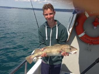 5 lb Cod by Elliot