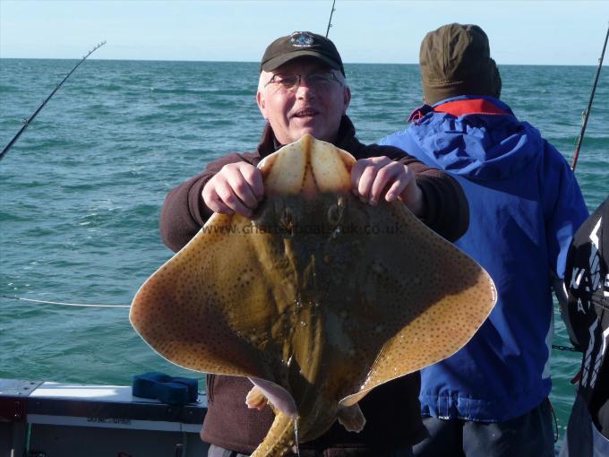 12 lb Blonde Ray by James