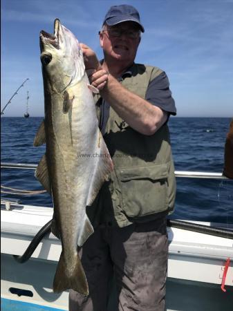 12 lb Pollock by Kevin McKie