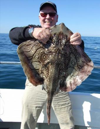 15 lb Undulate Ray by Ron Mcevoy