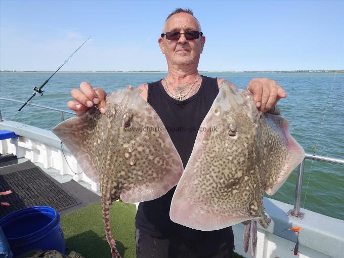 8 lb Thornback Ray by Rob