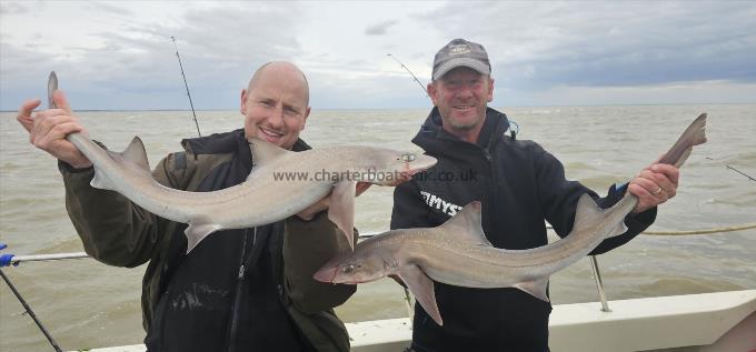 10 lb Smooth-hound by Harry