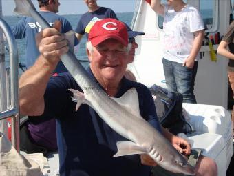 6 lb 5 oz Smooth-hound by Collin Flint