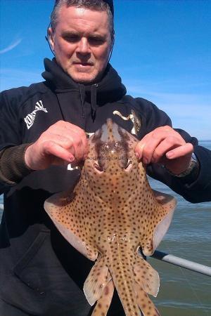 3 lb Spotted Ray by Mark
