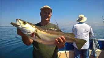 12 lb Pollock by Stephen Wake