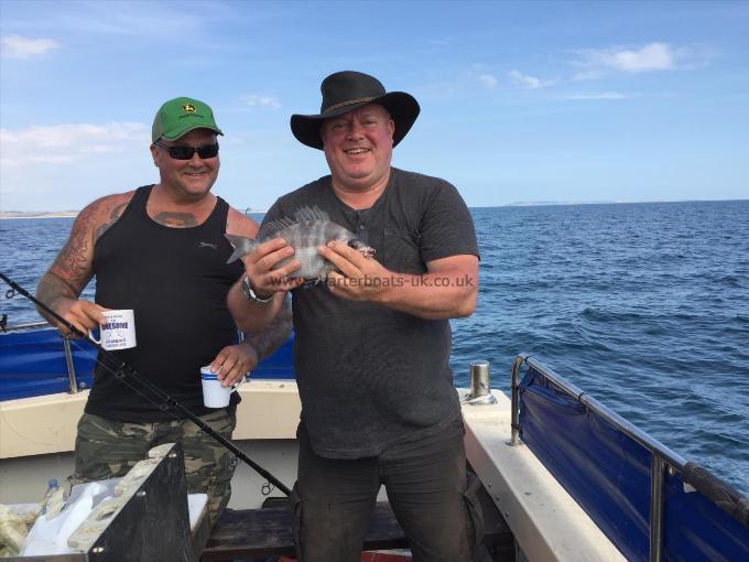 2 lb Black Sea Bream by Nick Holland