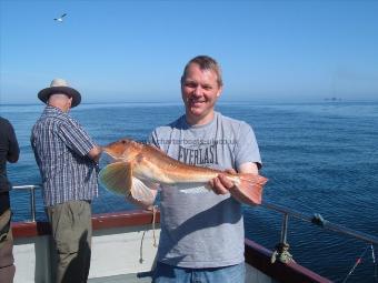 4 lb 11 oz Tub Gurnard by graham