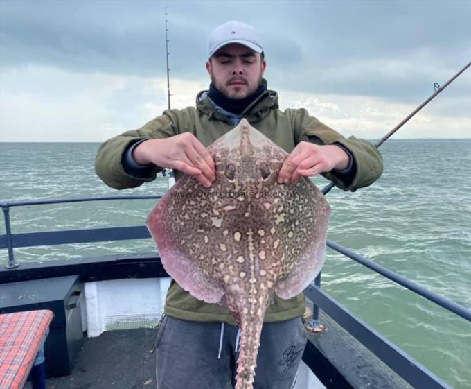 8 lb Thornback Ray by Unknown