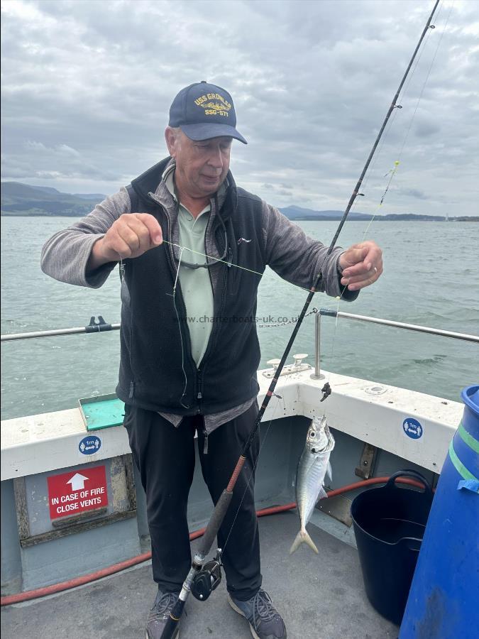1 lb Scad by Bob