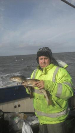 2 lb 4 oz Cod by Dave Lee