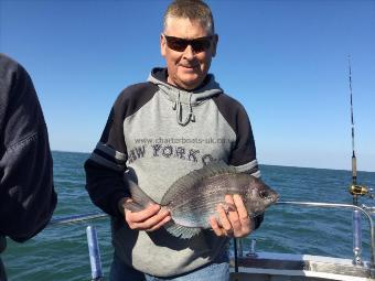 2 lb 8 oz Black Sea Bream by Paul