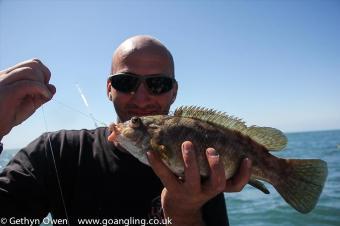 2 lb Ballan Wrasse by Peter