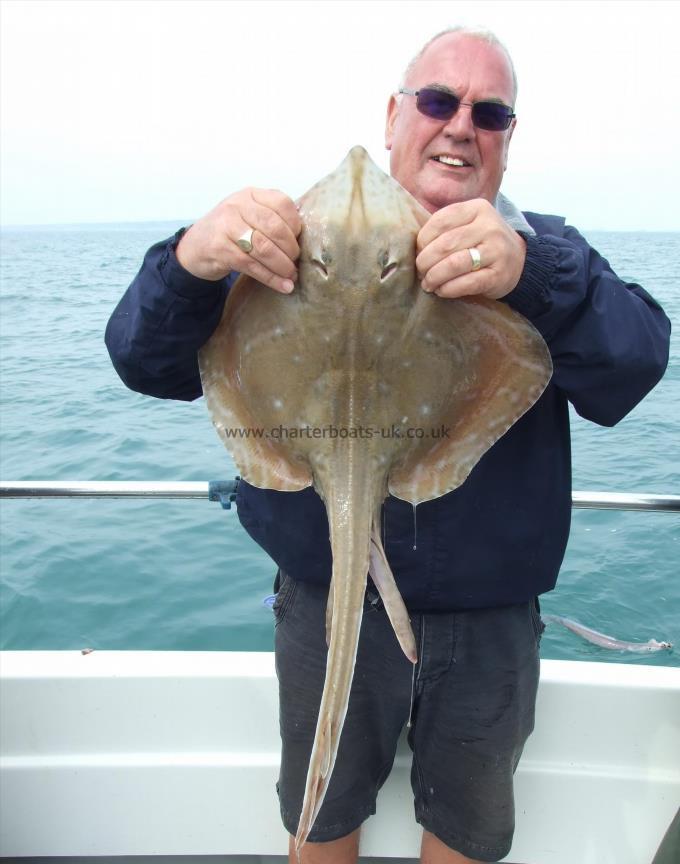 6 lb 8 oz Small-Eyed Ray by Colin Driscoll