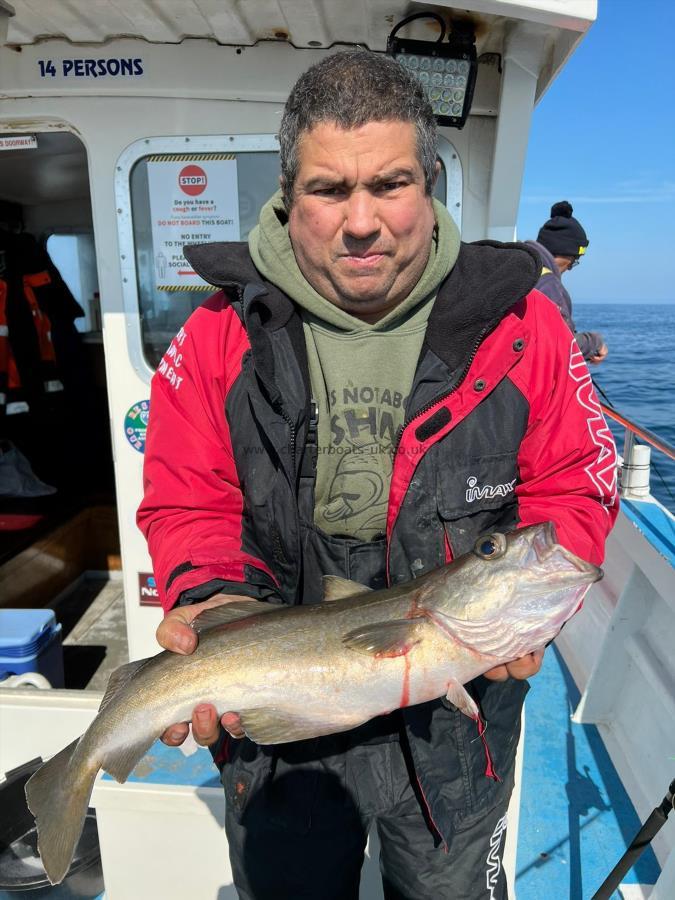 4 lb 12 oz Pollock by Anthony.